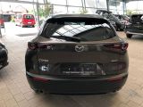 Mazda CX-30 bei Sportwagen.expert - Abbildung (5 / 15)