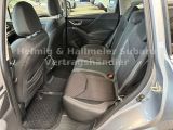 Subaru Forester bei Sportwagen.expert - Abbildung (12 / 15)