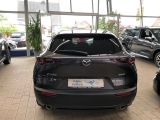 Mazda CX-30 bei Sportwagen.expert - Abbildung (6 / 15)