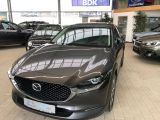 Mazda CX-30 bei Sportwagen.expert - Abbildung (3 / 15)