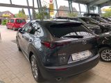 Mazda CX-30 bei Sportwagen.expert - Abbildung (5 / 15)