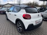 Citroen C3 bei Sportwagen.expert - Abbildung (4 / 15)