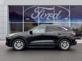 Ford Kuga bei Sportwagen.expert - Abbildung (3 / 12)