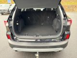 Ford Kuga bei Sportwagen.expert - Abbildung (8 / 12)