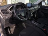 Ford Kuga bei Sportwagen.expert - Abbildung (10 / 14)