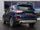 Ford Kuga bei Sportwagen.expert - Abbildung (4 / 14)