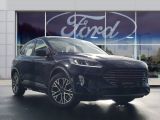 Ford Kuga bei Sportwagen.expert - Abbildung (6 / 14)