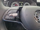 Skoda Kamiq bei Sportwagen.expert - Abbildung (12 / 15)