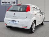 Fiat Punto bei Sportwagen.expert - Abbildung (3 / 15)