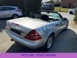 Mercedes-Benz SLK-Klasse bei Sportwagen.expert - Abbildung (2 / 15)