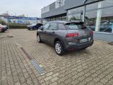 Citroen C4 Cactus bei Sportwagen.expert - Abbildung (4 / 15)