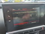 Citroen C4 Cactus bei Sportwagen.expert - Abbildung (15 / 15)