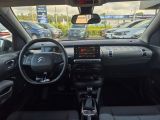 Citroen C4 Cactus bei Sportwagen.expert - Abbildung (10 / 15)