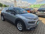 Citroen C4 Cactus bei Sportwagen.expert - Abbildung (6 / 15)