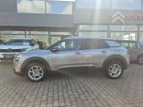 Citroen C4 Cactus bei Sportwagen.expert - Abbildung (3 / 15)