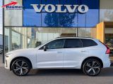 Volvo XC60 bei Sportwagen.expert - Abbildung (2 / 15)