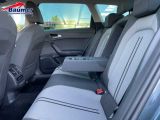Seat Leon bei Sportwagen.expert - Abbildung (10 / 15)