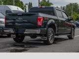 Ford F bei Sportwagen.expert - Abbildung (3 / 15)