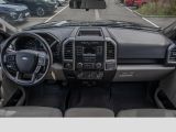 Ford F bei Sportwagen.expert - Abbildung (10 / 15)