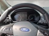 Ford EcoSport bei Sportwagen.expert - Abbildung (8 / 15)