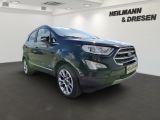 Ford EcoSport bei Sportwagen.expert - Abbildung (2 / 15)
