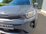 Kia Stonic bei Sportwagen.expert - Abbildung (5 / 15)