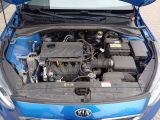 Kia Ceed bei Sportwagen.expert - Abbildung (7 / 15)