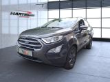 Ford EcoSport bei Sportwagen.expert - Abbildung (2 / 15)