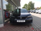 Honda Civic bei Sportwagen.expert - Abbildung (2 / 15)