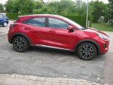 Ford Puma bei Sportwagen.expert - Abbildung (2 / 15)