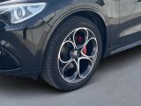 Alfa Romeo Stelvio bei Sportwagen.expert - Abbildung (6 / 15)
