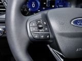 Ford Kuga bei Sportwagen.expert - Abbildung (14 / 15)