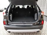 Ford Kuga bei Sportwagen.expert - Abbildung (11 / 15)