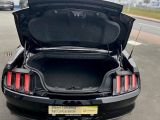 Ford Mustang bei Sportwagen.expert - Abbildung (6 / 6)