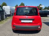 Fiat Panda bei Sportwagen.expert - Abbildung (6 / 15)