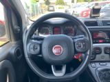 Fiat Panda bei Sportwagen.expert - Abbildung (9 / 15)