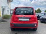 Fiat Panda bei Sportwagen.expert - Abbildung (4 / 15)