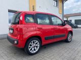 Fiat Panda bei Sportwagen.expert - Abbildung (5 / 15)