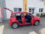 Fiat Panda bei Sportwagen.expert - Abbildung (6 / 15)