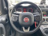 Fiat Panda bei Sportwagen.expert - Abbildung (11 / 15)