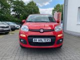 Fiat Panda bei Sportwagen.expert - Abbildung (3 / 15)