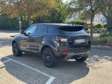 Land Rover Range Rover Evoque bei Sportwagen.expert - Abbildung (7 / 15)