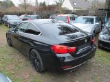 BMW 4er bei Sportwagen.expert - Abbildung (8 / 15)