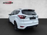 Ford Kuga bei Sportwagen.expert - Abbildung (3 / 15)