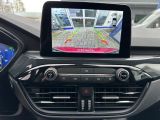 Ford Kuga bei Sportwagen.expert - Abbildung (6 / 15)