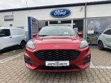 Ford Kuga bei Sportwagen.expert - Abbildung (2 / 15)