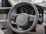 Jaguar XF bei Sportwagen.expert - Abbildung (6 / 15)
