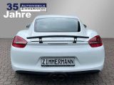 Porsche Cayman bei Sportwagen.expert - Abbildung (9 / 15)