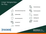 Skoda Citigo bei Sportwagen.expert - Abbildung (5 / 15)