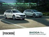 Skoda Scala bei Sportwagen.expert - Abbildung (13 / 15)